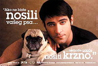 Posters 1 - Goran Visnjic, fur [ 20.59 Kb ]