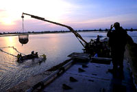 overfishing 2 [ 61.17 Kb ]