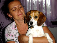 The beagle at home 4 [ 137.17 Kb ]