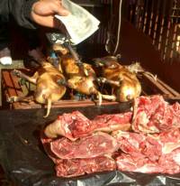 Dog meat 12 [ 63.91 Kb ]