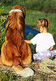 Dog and girl