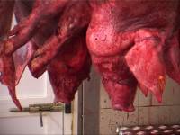 Croatian slaughterhouse3 [ 94.05 Kb ]