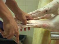 Croatian slaughterhouse6 [ 70.41 Kb ]