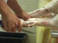 Croatian slaughterhouse7 [ 69.64 Kb ]