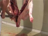 Croatian slaughterhouse8 [ 75.55 Kb ]