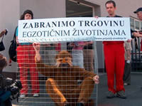 Against Exotic Animals Trade