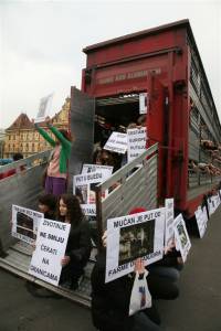 Protest against live animal transport 23 [ 87.08 Kb ]