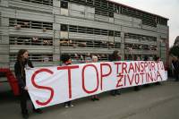 Protest against animal transport