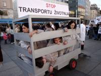 Demo against animal transport 2009. [ 478.87 Kb ]