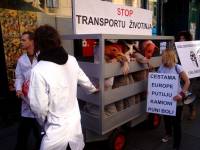 Demo against animal transport 2010 22 [ 137.32 Kb ]