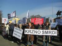 Anti-fur demo Zagreb 2012 a [ 91.24 Kb ]