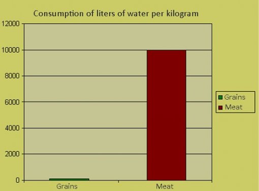 water consumption [ 34.21 Kb ]