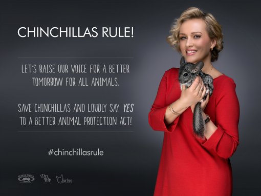 Chinchillas Rule - Vanna [ 668.90 Kb ]