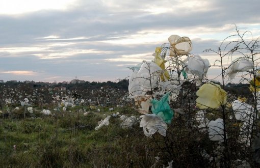 plastic bag, nature [ 121.05 Kb ]