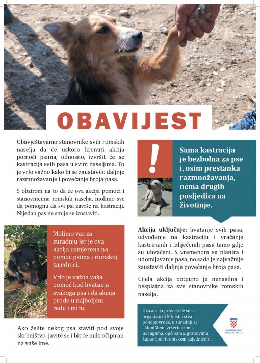 Leaflet for notice about sterilisation project [ 616.94 Kb ]