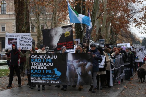 March for the Animals 2017 [ 998.02 Kb ]
