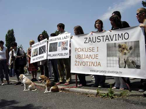 Protest in front of the Faculty of Veterinary Medicine 5