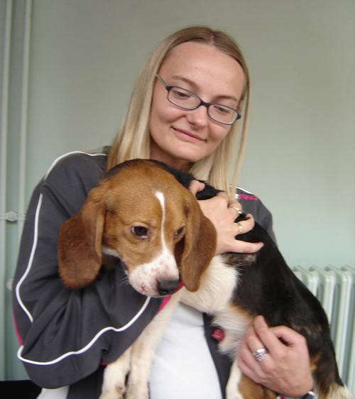 Liberation of the beagles 7