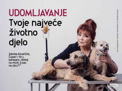 zdenka kovacicek- campaign Family on vacation, dog to the street [ 114.11 Kb ]