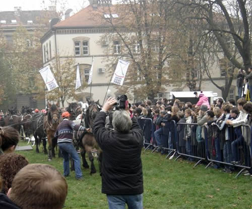 Zagreb - experiments with horses 1