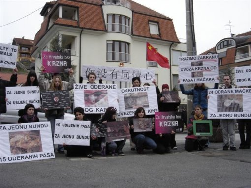 Protest in front of the Chinese Embassy 1