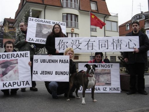 Protest in front of the Chinese Embassy 3