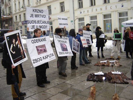 Anti-fur demo in Sarajevo 5 [ 133.08 Kb ]