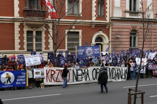 Zagreb demo against the seal slaughter 3 [ 72.36 Kb ]