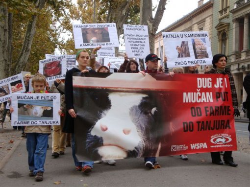 Protest against live animal transport 7 [ 120.87 Kb ]