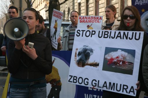 Against the seal slaughter Zagreb 2009 d [ 117.32 Kb ]
