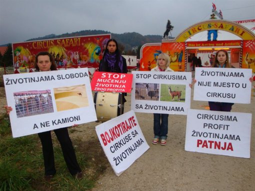 Prosvjedi ispred cirkusa sa životinjama Safari u Samoboru [ 160.01 Kb ]