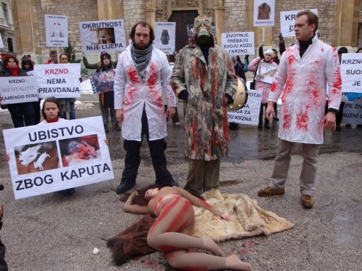 Demo against fur in Sarajevo 6 [ 138.46 Kb ]