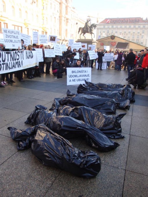 Protest for the implementation of the Animal Protection Act 2011 [ 154.25 Kb ]