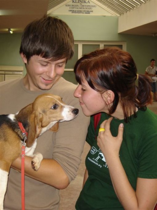 Liberation of the beagles 10