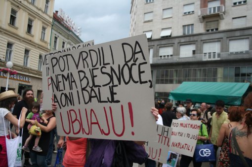 To stop killing and to open shelthers [ 366.20 Kb ]