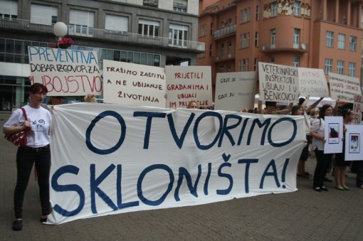 To stop killing and to open shelthers [ 379.49 Kb ]