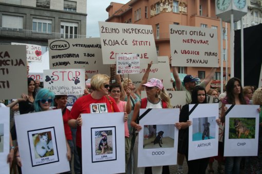 To stop killing and to open shelthers [ 375.07 Kb ]