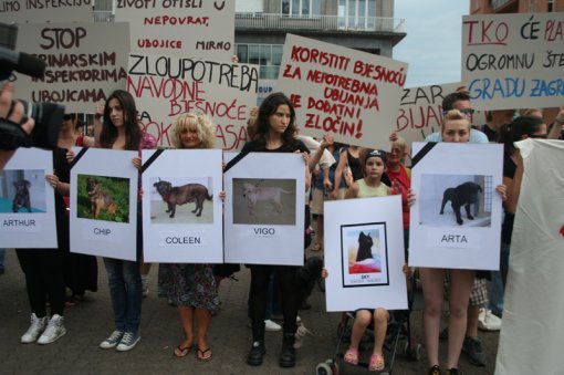 To stop killing and to open shelthers [ 368.96 Kb ]