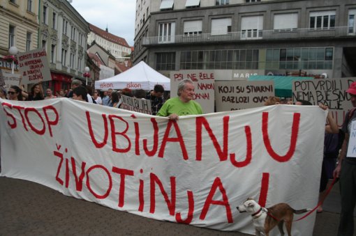 To stop killing and to open shelthers [ 384.17 Kb ]