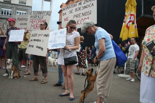 To stop killing and to open shelthers [ 412.38 Kb ]