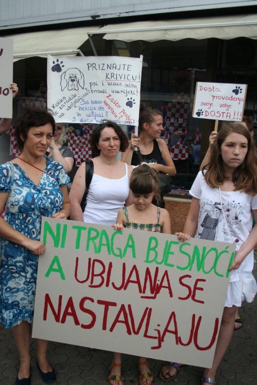 To stop killing and to open shelthers [ 782.92 Kb ]