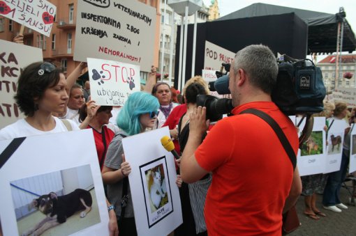 To stop killing and to open shelthers [ 380.32 Kb ]