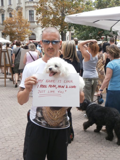 IFEEL on the protest [ 667.59 Kb ]