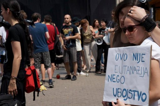 To stop killing and to open shelthers [ 82.04 Kb ]