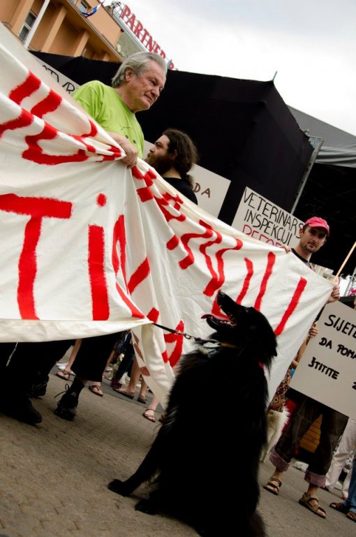 To stop killing and to open shelthers [ 101.56 Kb ]