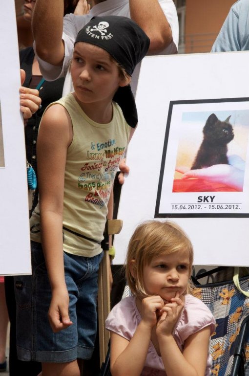 To stop killing and to open shelthers [ 85.98 Kb ]