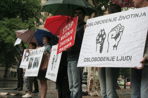 Protest against dolphin killing [ 487.73 Kb ]