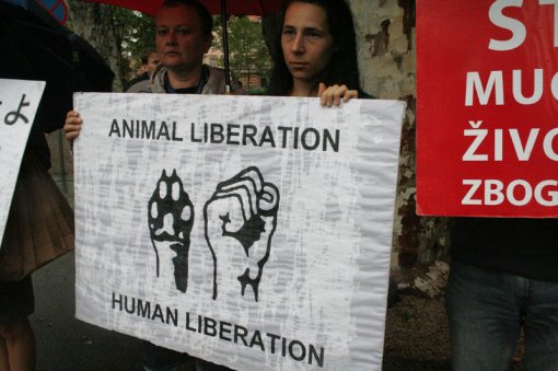 Protest against dolphin killing [ 470.37 Kb ]