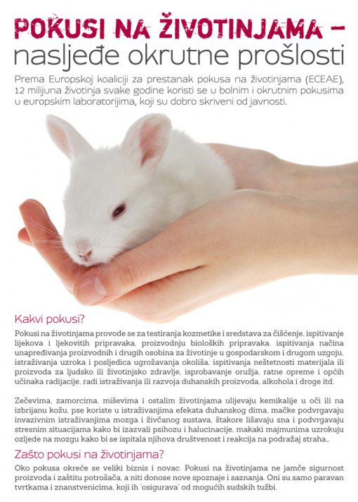 leaflet vivisection1 [ 374.94 Kb ]