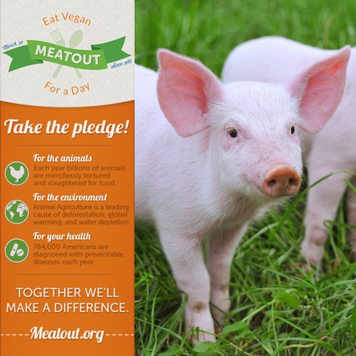 Meatout take the pledge [ 633.38 Kb ]